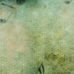 Phonograph Website Banner